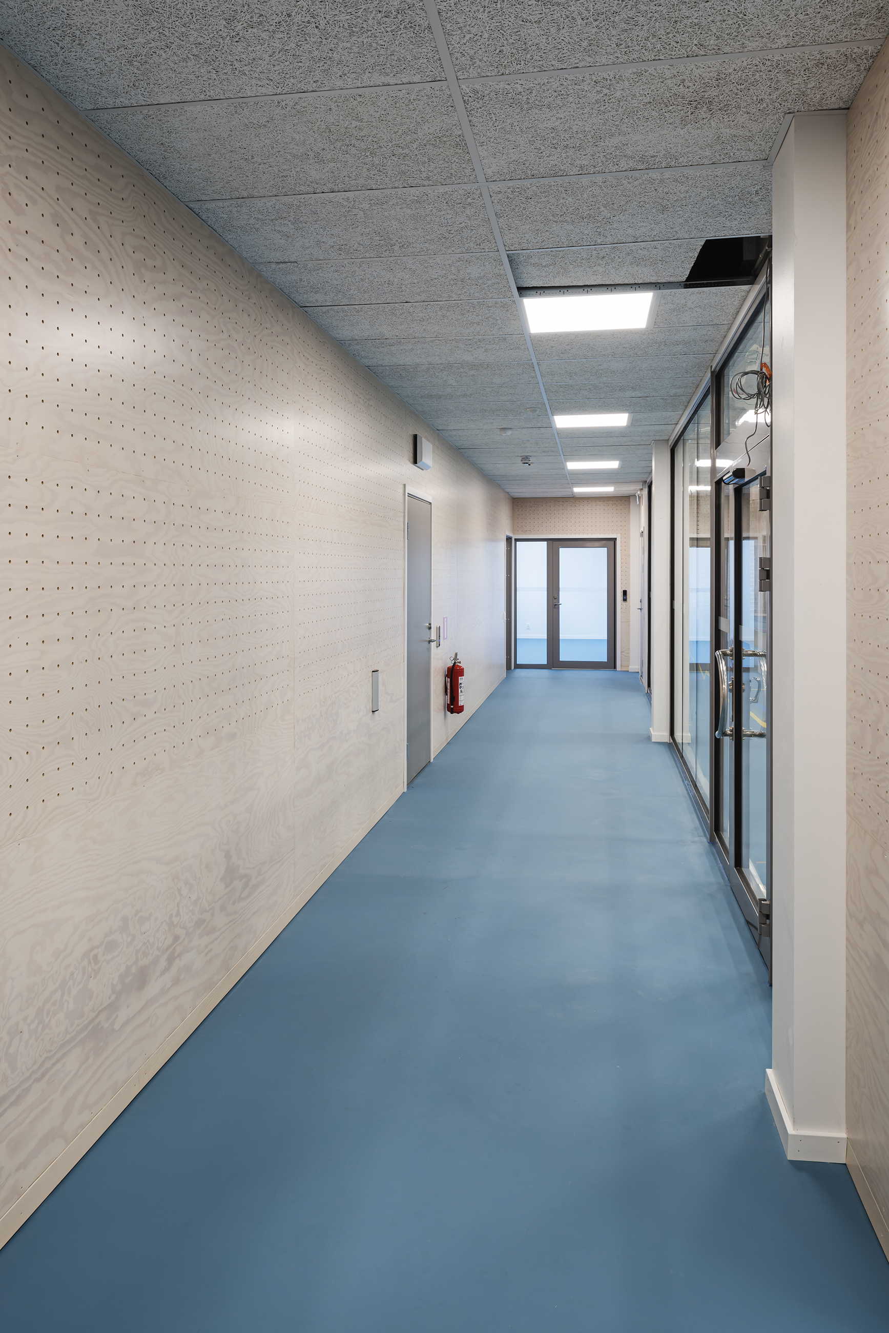 Korridor med perforerede paneler på vægge og blåt gymnastikgulv