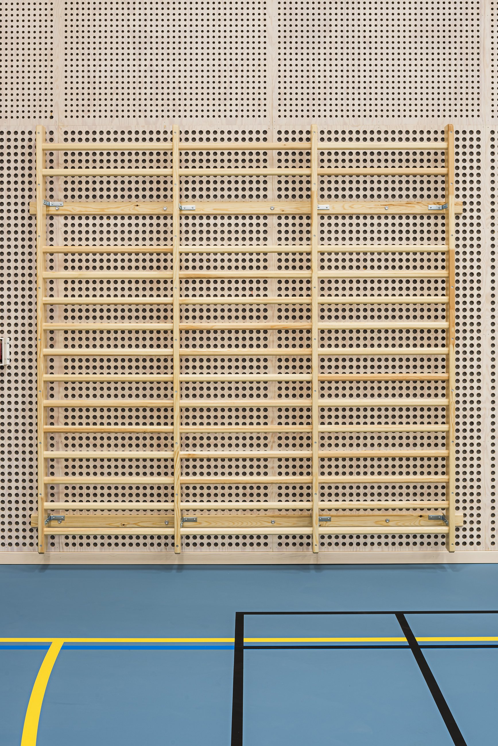 Gymnastiksal med perforerede paneler på væggene og gymnastikredskaper